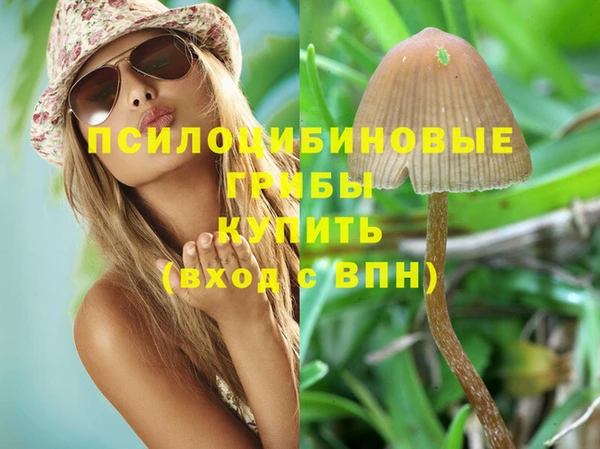 спиды Алексеевка