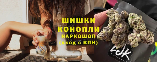 ПСИЛОЦИБИНОВЫЕ ГРИБЫ Алзамай