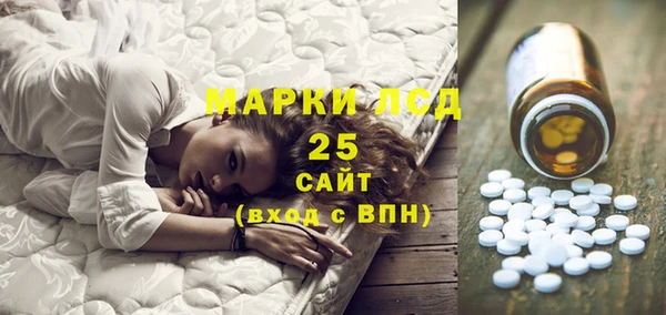 ПСИЛОЦИБИНОВЫЕ ГРИБЫ Алзамай