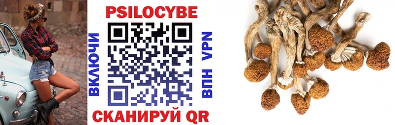 Псилоцибиновые грибы Psilocybine cubensis  Саки 